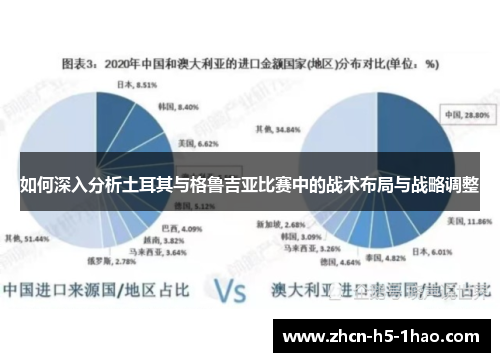 如何深入分析土耳其与格鲁吉亚比赛中的战术布局与战略调整