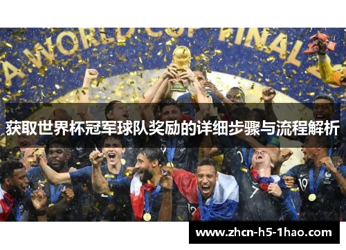 获取世界杯冠军球队奖励的详细步骤与流程解析
