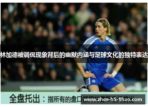 林加德被调侃现象背后的幽默内涵与足球文化的独特表达 林加德被调侃现象背后的幽默内涵与足球文化的独特表达