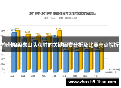 梅州降级泰山队获胜的关键因素分析及比赛亮点解析