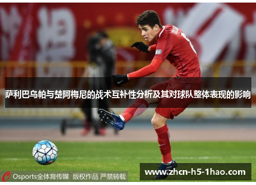 萨利巴乌帕与楚阿梅尼的战术互补性分析及其对球队整体表现的影响