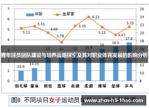 青年球员团队建设与培养战略探索及其对职业体育发展的影响分析